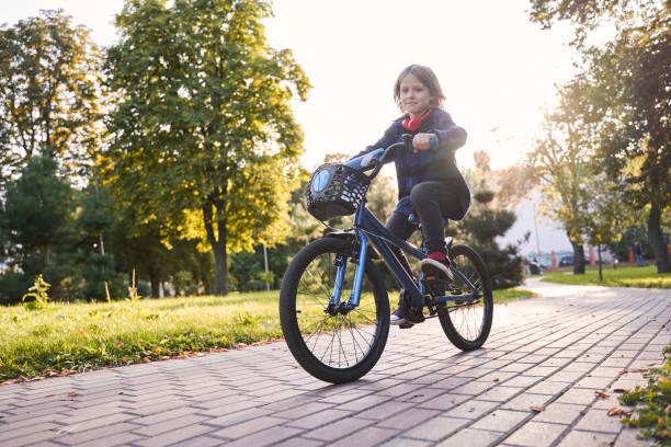 istock Boy sitting at the bicycle 1291740020