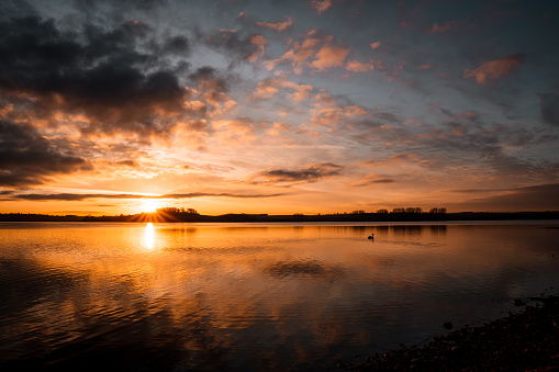 Amazing sunset on winter day. The sun is reflecting onto the still lake and a swan paddles gracefully.