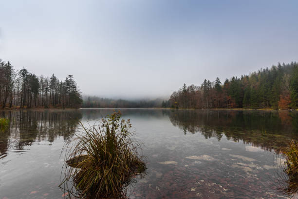 istock rocks with grass in a lake with clear water with reflection 1291746192