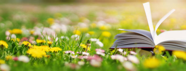 libro abierto en el césped en el campo en el día soleado - resting place fotografías e imágenes de stock