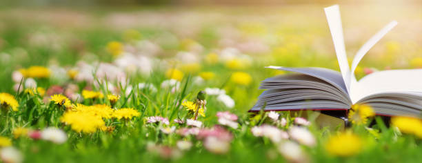 открытая книга в траве на поле в солнечный день - resting place стоковые фото и изображения