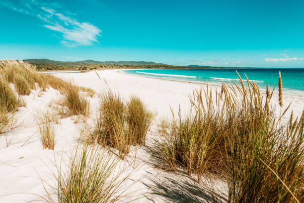 White sand paradise beach in Tasmania, Australia