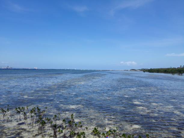 istock San Vicente Marine Sanctuary in Olango island 1291749488