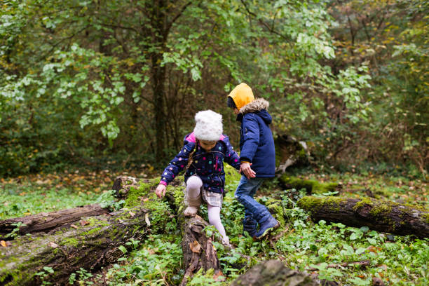 istock Children having fun in nature 1291752393