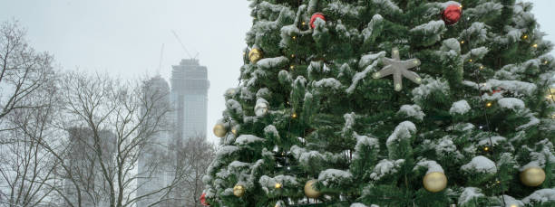 istock Christmas tree in the park 1291753759