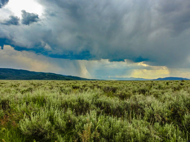 istock Storm Brewing in Grand Teton National Park 1291754976