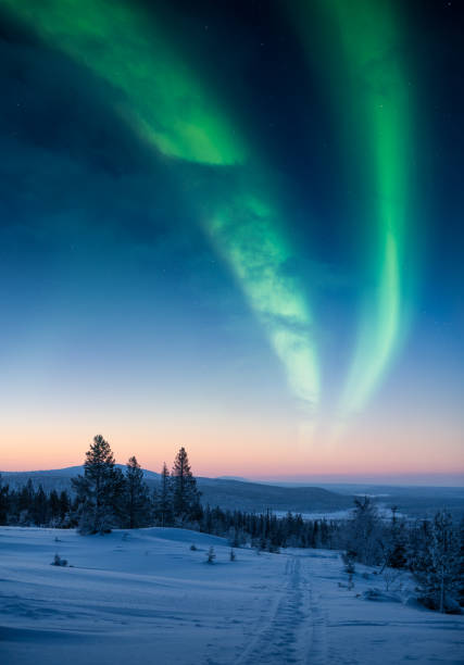 Northern Lights aka Aurora Borealis in snowy Finnish Lapland Epic landscape in Pallastunturi mountain with aurora on the sky finnish lapland stock pictures, royalty-free photos & images