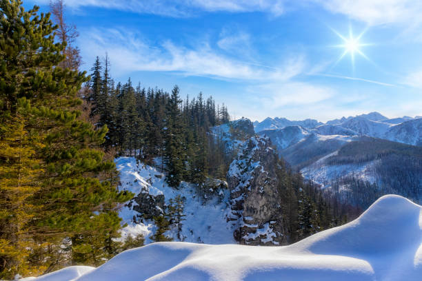 Panoramic View Over Snowy Mountains