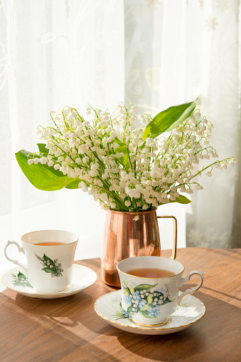 Lily of the Valley blooms in early June in Southern Canada