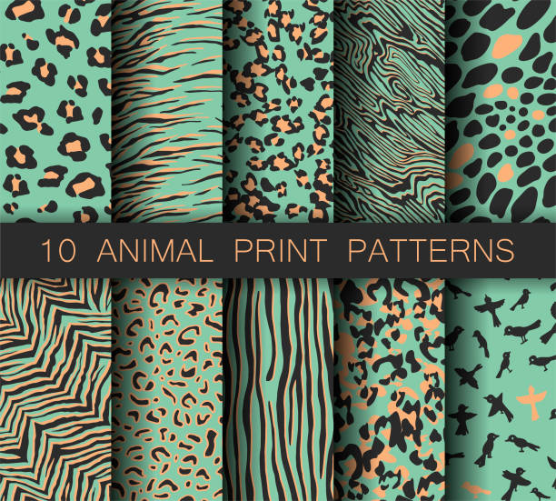 Set of vector turquoise animal print patterns. Collection of tiger, birds, zebra and leopard prints. For fabric, textile, wrapping, cover, banner etc. Set of vector turquoise animal print patterns. Collection of tiger, birds, zebra and leopard prints. For fabric, textile, wrapping, cover, banner etc. animal pattern stock illustrations