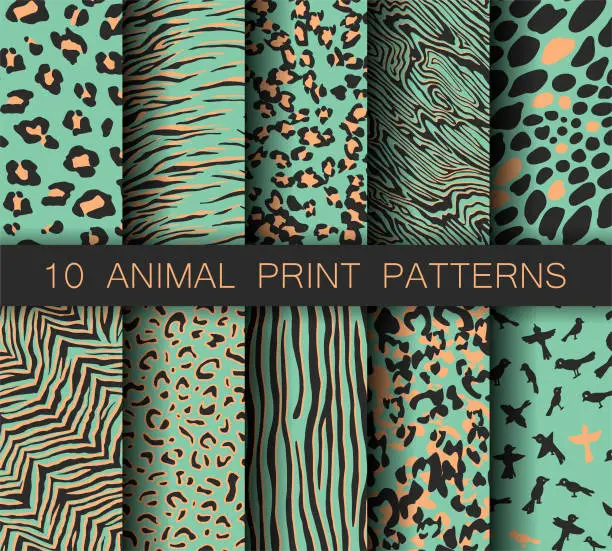 Vector illustration of Set of vector turquoise animal print patterns. Collection of tiger, birds, zebra and leopard prints. For fabric, textile, wrapping, cover, banner etc.