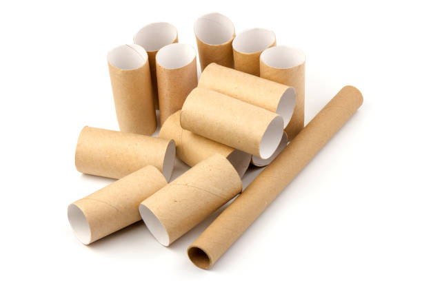 istock empty paper toilet rolls on white background 1291762369