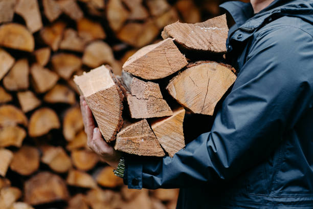 istock Close up of unrecognizable man dressed in jacket carries bundle of firewood, going to make fire outdoor. Winter is coming. 1291763033
