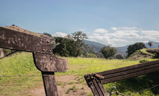 istock Pasture of Cows 1291766557