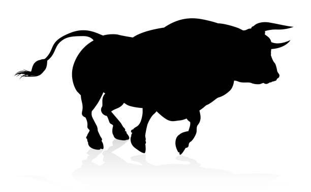 Silhouette Bull A high quality detailed bull male cow cattle animal silhouette british beef cow stock illustrations
