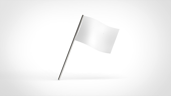 flag single 3d rendering