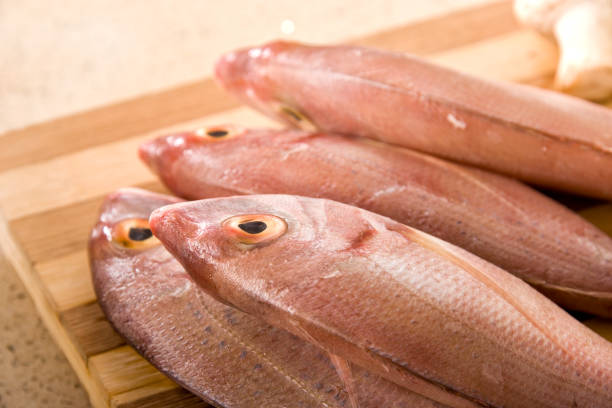 Red Snapper gray fish close up, Lutjanus or seabream, Sebastes fresh sea food, raw uncooked Centroberyx fish on white plate background
