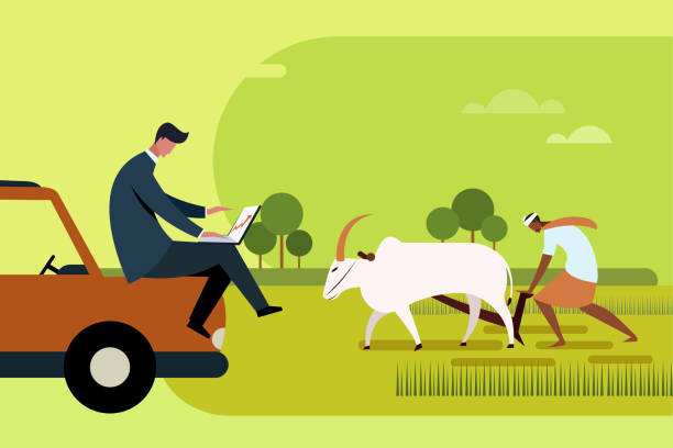 illustrations, cliparts, dessins animés et icônes de un cadre de l’agro-industrie regarde son ordinateur portable quand un agriculteur laboure la ferme avec des bœufs - agriculture farm people plow