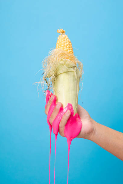 istock Hand Holding Sliced Corn cob on blue paper background. 1291776238