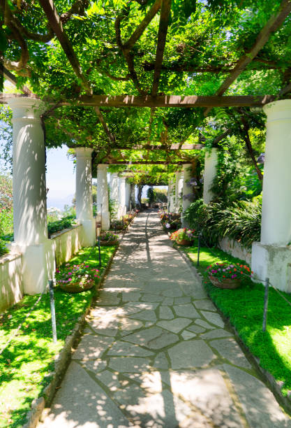 istock Capri island, Italy 1291777609