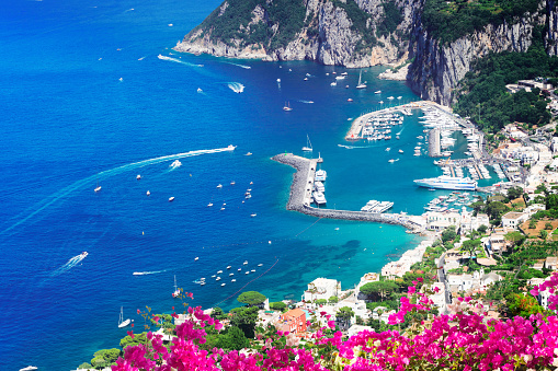 view of beautiful Marina Grande habour from above with flowers, Capri island, Italy