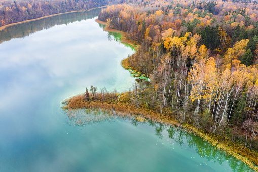 Colorful autumn forest by lake. Aerial drone shot, taken in Romincka Forest (Rominter Heide) natural reserve in Kaliningrad region.
