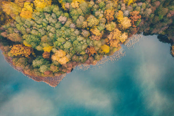 istock Autumn forest by lake Marinovo, view from above. 1291781799