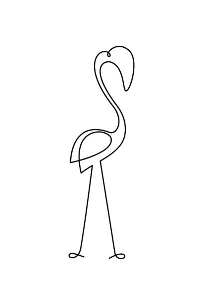 Cartoon flamingo bird Flamingo in continuous line art drawing style. Cute flamingo bird with exaggerated beak minimalist black linear design isolated on white background. Vector illustration continuous line drawing bird stock illustrations