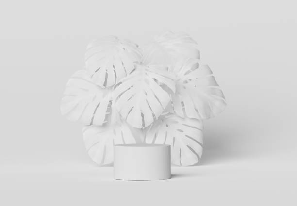 istock 3D white podium display. Monstera palm leaf, with copy space background. Cosmetics or beauty product promotion mockup. Natural exotic step pedestal. Abstract minimal  banner 3D render 1291786665