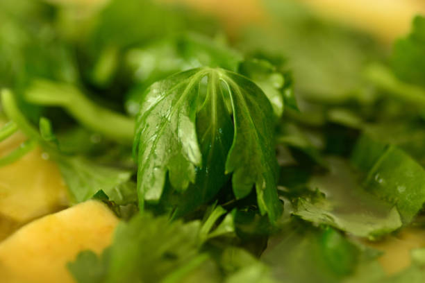 Celeriac leafs in soup.