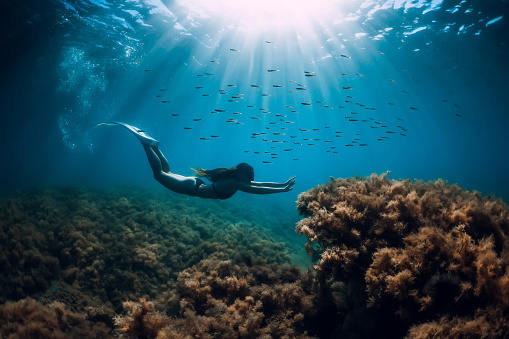 Free diver woman with fins glides underwater with fish and sun rays.