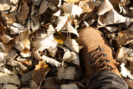 hiking boots treading on dry leaves seen from above on the mountain