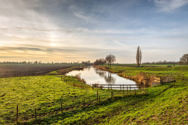 Idyllic Dutch polder landscape in winter