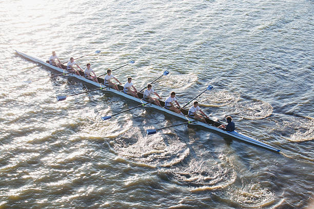 ludzie w canoe oaring długie - oar rowing sport rowing team zdjęcia i obrazy z banku zdjęć