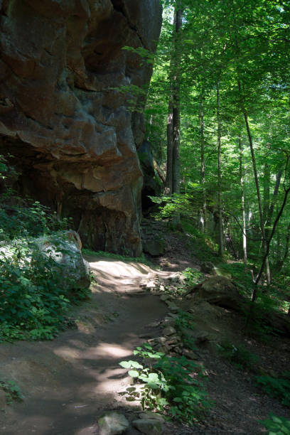 istock Trail and geography at Big South Fork Park, TN 1291795919