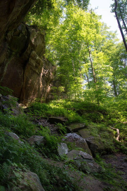 istock Trail and geography at Big South Fork Park, TN 1291795948