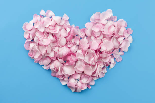 istock Heart shape made of rose petals 1291799449