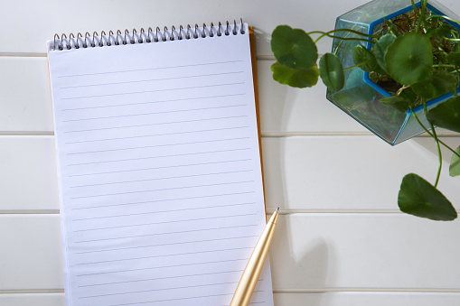 spiral note pad, potted plant with gold colored pen on white table top