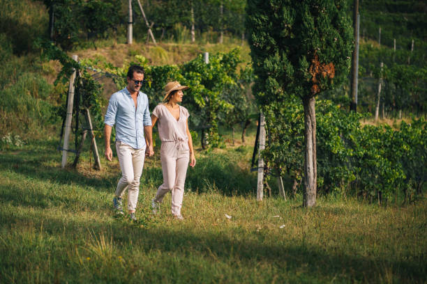 istock Couple walk through vineyard in the morning 1291805902