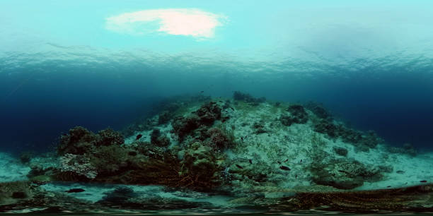 istock Coral reef and tropical fish underwater. Philippines. Virtual Reality 360 1291806002