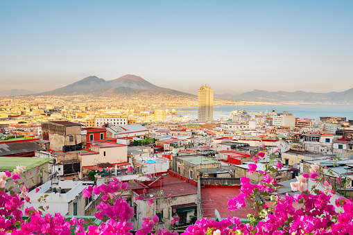 cityscape Naples with Vesuvius volcano at sunset with flowers, Italy