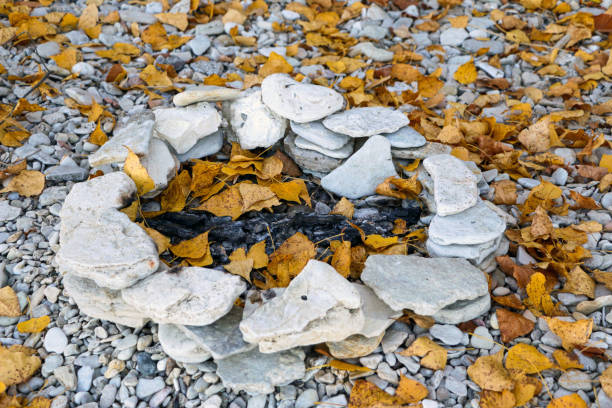 The old stone bonfire, with extinguished coals and embers on the pebble beach, remained after the rest of the tourists. Fallen autumn yellow leaves lie in round stone bonfire.