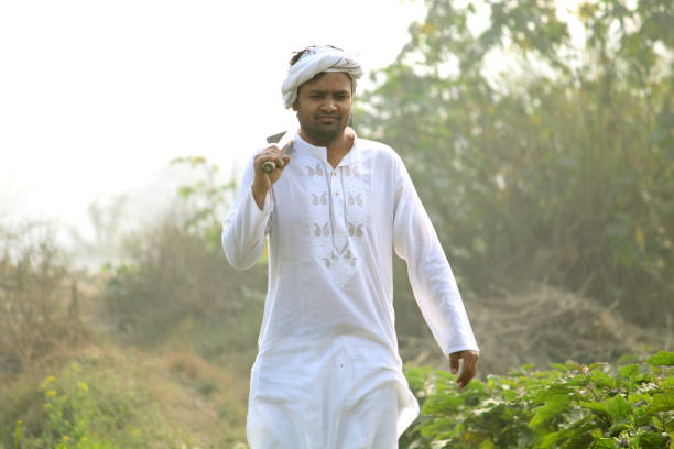 istock Farmer working field outdoors 1291812032