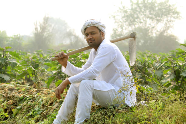 istock Indian farmer in agricultural field 1291812041