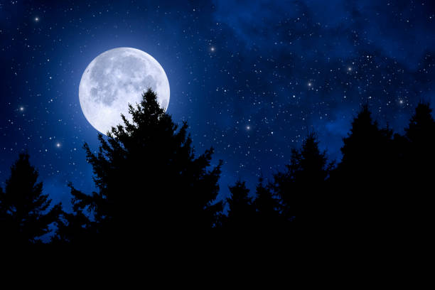 istock Forest landscape under starry night and full moon 1291812871