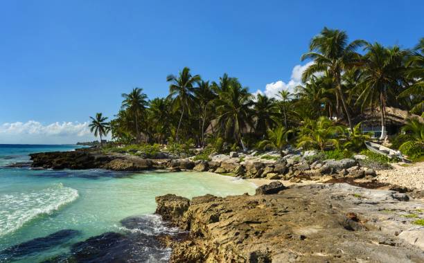 istock Caribbean coast of Yucatan, Mexico 1291816496