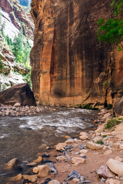 istock Zion Canyon National Park 1291817882
