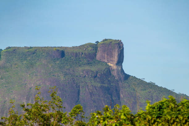 istock Gavea stone in Rio de Janeiro 1291818029