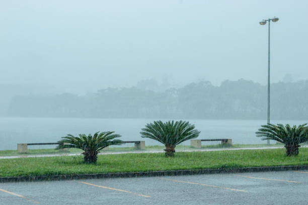 istock rain on Rodrigo de Freitas lagoon in Rio de Janeiro 1291818232