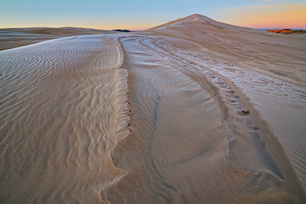 istock Winter, Silver Lake Sand Dunes 1291823259